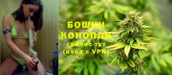 спиды Арсеньев