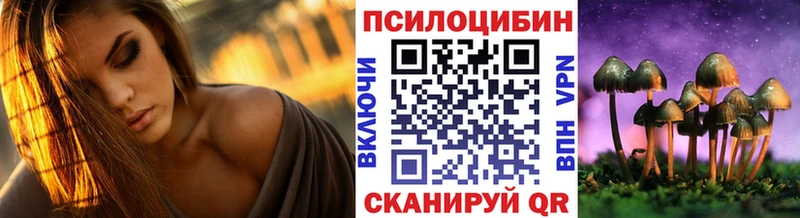 это как зайти  Гдов  Галлюциногенные грибы ЛСД  что такое  